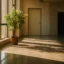 Sunlit hallway with potted green plant